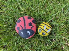 Pet Rocks