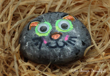 Pet Rocks