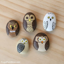 Pet Rocks